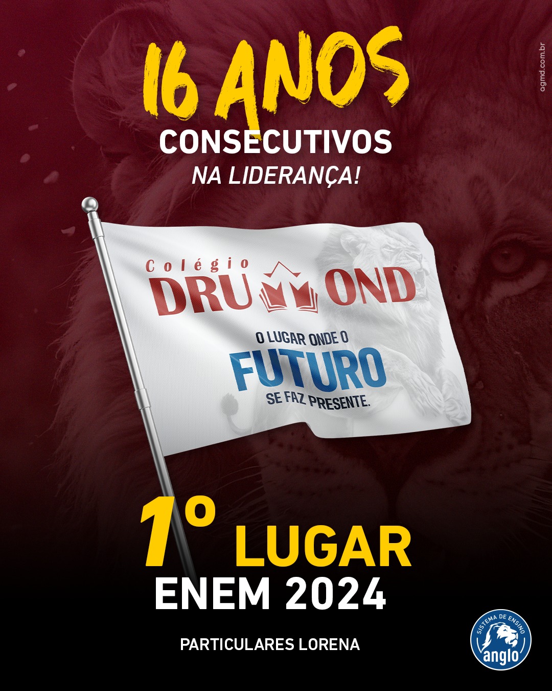 1º lugar ENEM